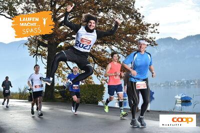 13566238
