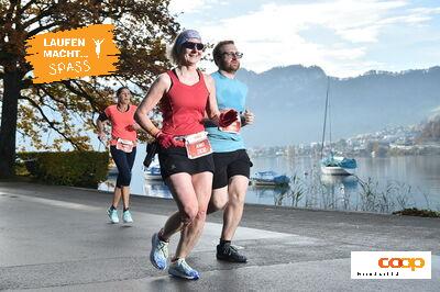 13566629