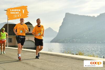 15136683